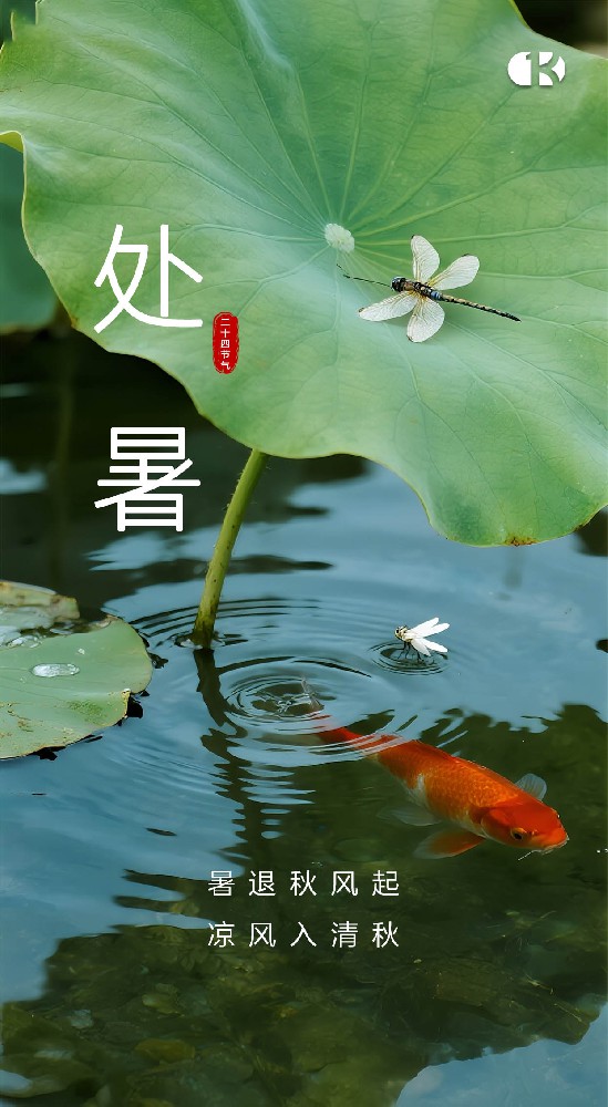 處暑至，習俗趣：暑去涼來話傳統